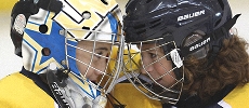 Eishockey Helme m. Gitter