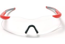 BLADEMASTER Safety Glasses W/Antifog