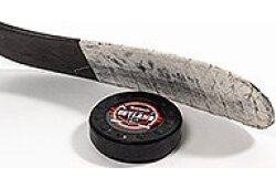 HOCKEYSHOT Extreme Dryland Puck