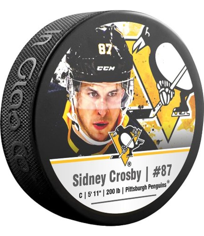 NHL Star Spieler Pucks - Blister