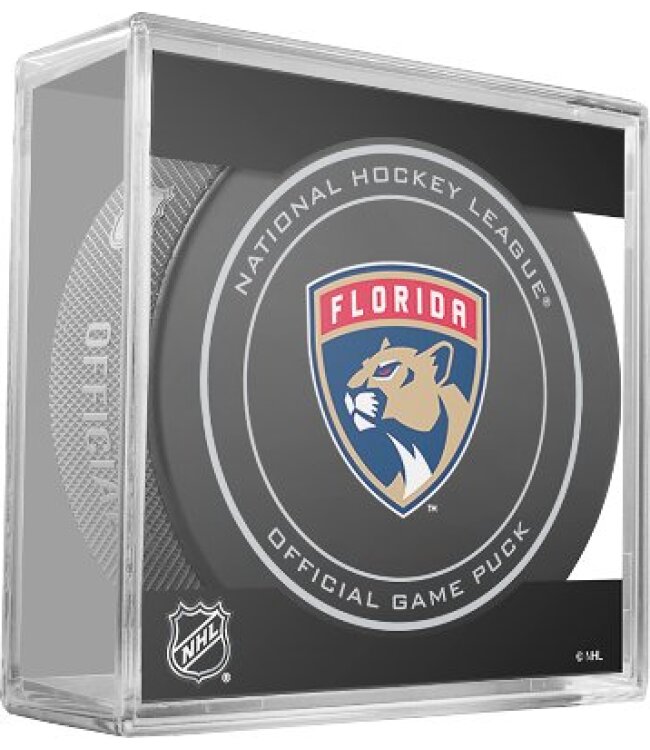 NHL Offical Game Puck in Cube