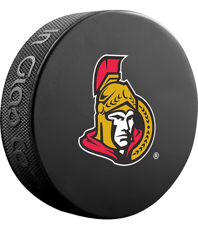 NHL Souvenir Puck Basic - Blister