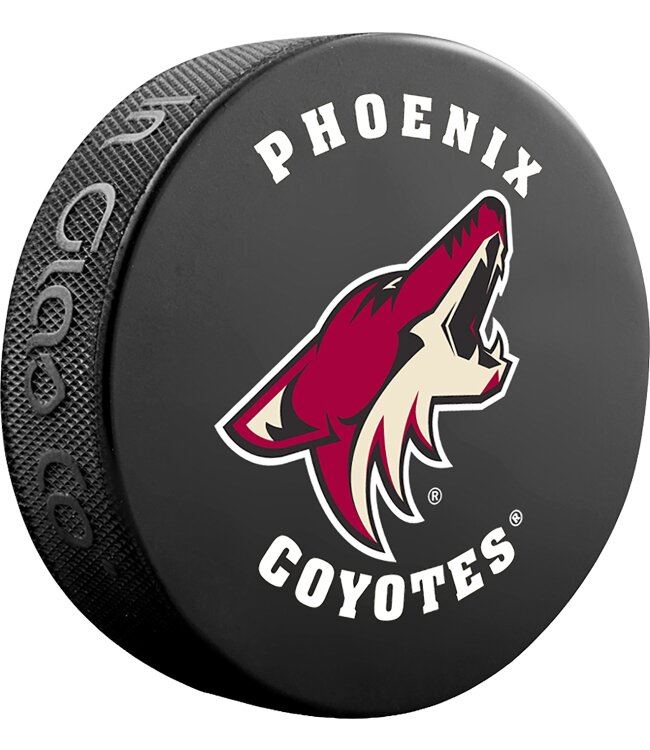 NHL Souvenir Puck Basic - Blister