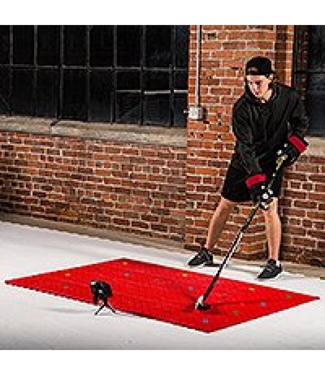 HOCKEYSHOT Dangle System 24