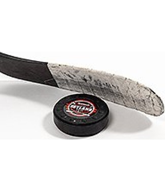 HOCKEYSHOT Extreme Dryland Puck